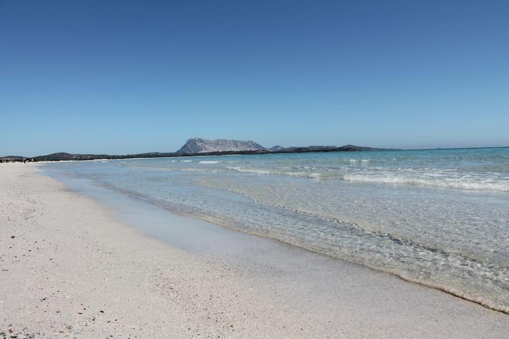 Appartamenti Via Dei Lidi Budoni Affitti Εξωτερικό φωτογραφία